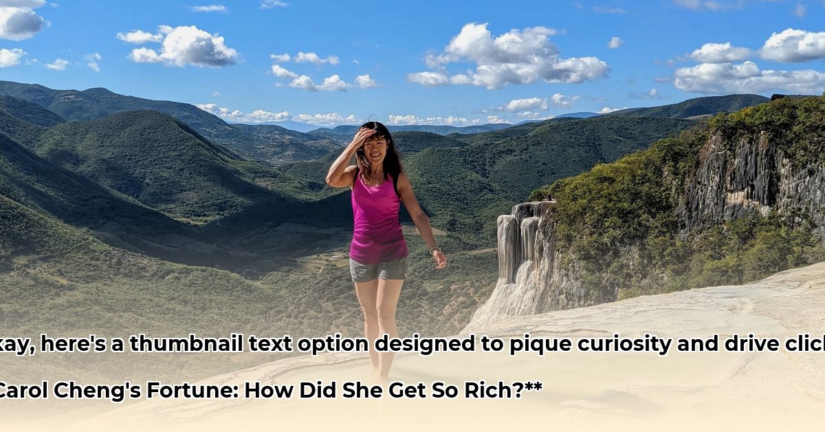 carol-chen-net-worth